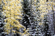 img150rockymountainautumn.jpg